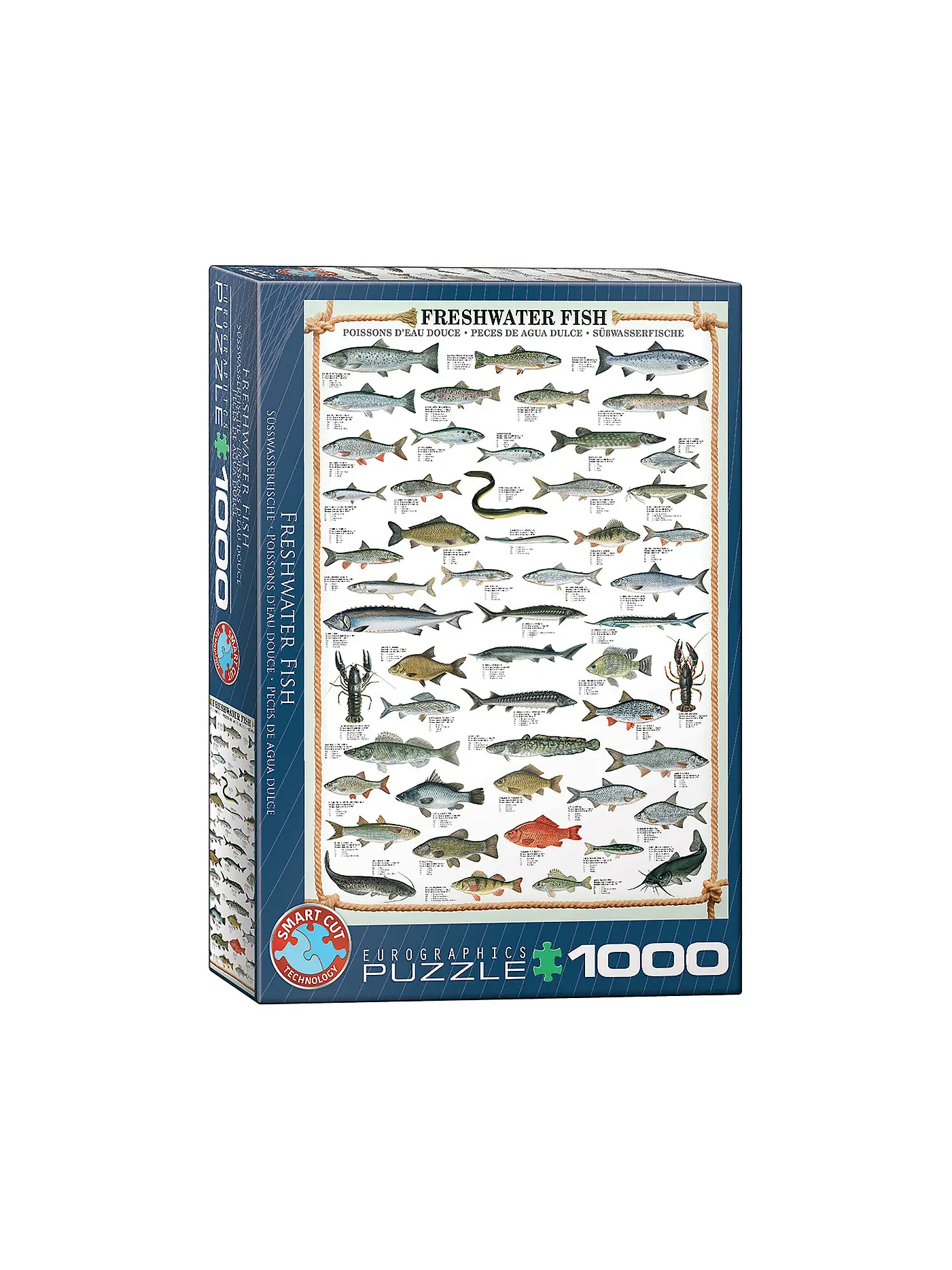 EUROGRAPHICS | Puzzle - Freshwater Fsih 1000 Teile | 